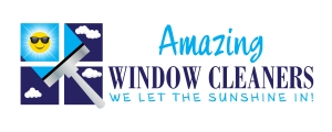amazing windows cleaners